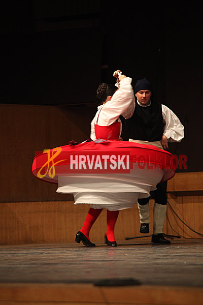IMG 7982
