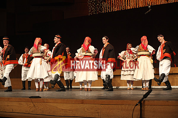 IMG 8086