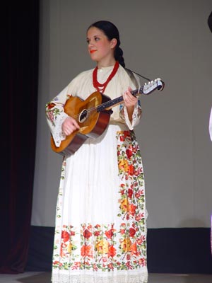 POSAVINA
