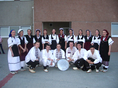 ZFA-bosna