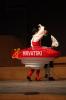 IMG 7985